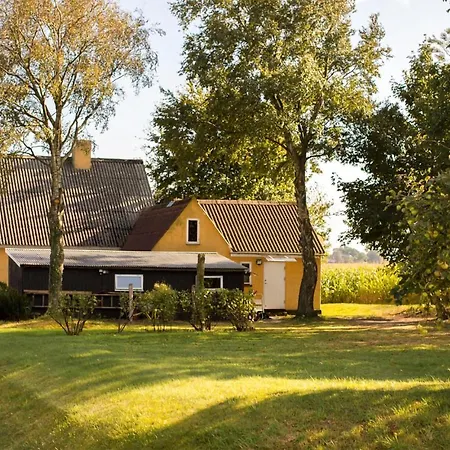 Pet Friendly In With Kitchen Gudhjem